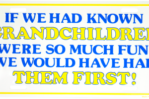 If We Had Known Grandchildren Were So Much Fun License Plate