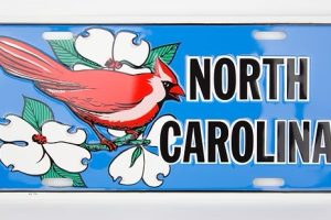 North Carolina Cardinal & Dogwood License Plate