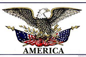 American Eagle & Flag License Plate