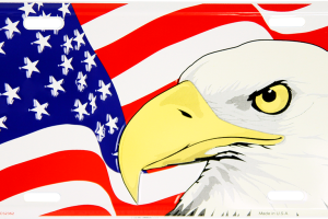 American Eagle & Flag License Plate